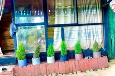 Cần cho thuê kinh doanh cà phê hoặc home , tại khu dã chiến , đường Hùng Vương, P 11, Đà Lạt