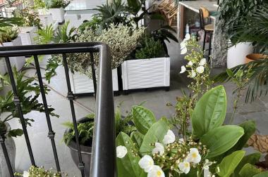 Bán nhà ngõ 84 Nhân Hoà 46m x 6 tầng, mt: 3.6m