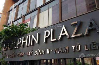 CĐT cho thuê văn phòng Dolphin Plaza, Trần Bình, Nam Từ Liêm, Hà Nội LH 0989410326