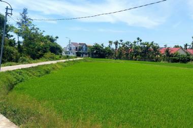 Cần sang nhượng villa view lúa ngay trung tâm An Mỹ, Cẩm Châu,Hội An