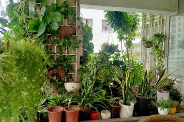 Cần bán Căn hộ penthouse Nguyễn huy Tưởng HN 217m2 4pn 1 sân vườn 
