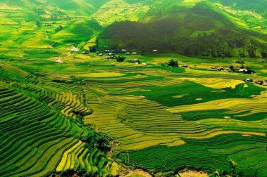 Từ 5,6 tỷ sở hữu căn Mini Hotel - Shop House - Sapa - Đã có sổ lâu dài - Hỗ trợ vay 65%