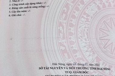 Cần bán nhanh lô đất thôn Châu Thành , Xã Đắk Rũ, Huyện Đắk RLấp, Tỉnh Đắk Nông.
