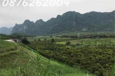 Chính chủ cần bán đất trang trại, khu nghỉ dưỡng 70.000m2 tại Lạc Thủy, Hòa Bình - Giá 1X tỷ