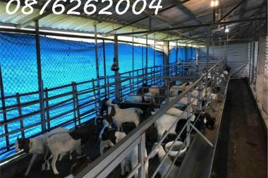 Chính chủ cần bán đất trang trại, khu nghỉ dưỡng 70.000m2 tại Lạc Thủy, Hòa Bình - Giá 1X tỷ