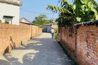Cân bán 919m Xuân Đồng Tân Minh, Sóc Sơn, Hà Nội thích hợp làm nhà xưởng, xây nhà vườn, phân lô