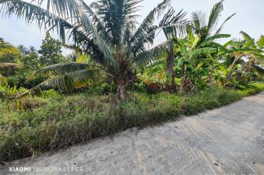 Bán lô đất cây lâu năm Tân Tru đường đan 3m giá 1 tỷ