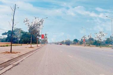 Việt Trì Spring City - dự án đất nền liền kề có sổ đỏ. Giá từ 1.4 tỷ/lô