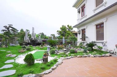 BÁN NHÀ mặt tiền sân vườn rộng 3000m2 tại Mỹ Xuân, thị xã Phú Mỹ, tỉnh BRVT