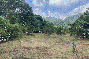 Chính chủ cắt 2000m, Full thổ cư. Đất TT Thanh Hà, HB. Giá 2,7 tỷ