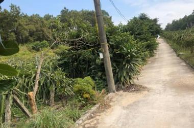 Cần bán đất 17,600m2 đất cây lâu năm kèm đất ở tại khu Tân Lập 2, Phương Đông, TP Uông Bí, tỉnh