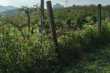 Chính chủ cần bán lô đất tại tiểu khu Pa Khen 2 , thị trấn Nông trường MC , huyện Mộc Châu , Tỉnh
