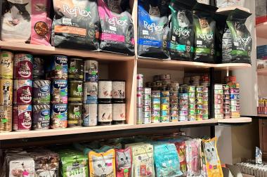 Sang nhượng Pet Shop đang kinh doanh rất tốt tại Dân Chủ. P Bình Thọ