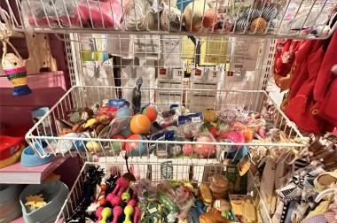 Sang nhượng Pet Shop đang kinh doanh rất tốt tại Dân Chủ. P Bình Thọ