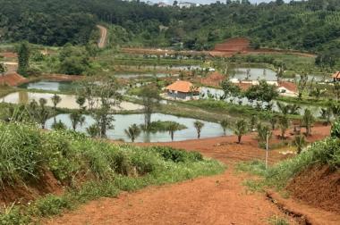 ĐẤT ĐẸP – GIÁ TỐT - CHÍNH CHỦ BÁN NHANH 2 Lô Đất Đẹp Vị Trí Tại Tỉnh Đăk Nông