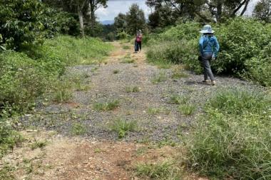 ĐẤT ĐẸP – GIÁ TỐT - CHÍNH CHỦ BÁN NHANH 2 Lô Đất Đẹp Vị Trí Tại Tỉnh Đăk Nông