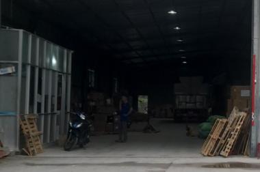 Chính chủ cho thuê Kho xưởng 1000m2 Bình Hoà, TP Thuận An, Bình Dương