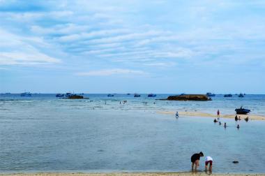 Bán đất biển Ninh Thuận - Full thổ cư - Giá chưa tới 4.3tr/m2