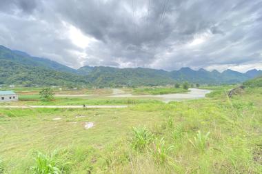 Cần bán mảnh đất rộng 3972m2, view toàn bộ cảnh quan sông Miện và thôn Đông Hà