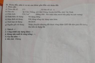HOT HOT SỞ HỮU NGAY LÔ ĐẤT ĐẸP – GIÁ TỐT Tại Gò Dầu Tây Ninh