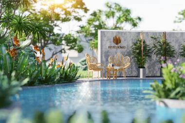Chính chủ bán 3PN- 96m2- View Hồ- Full đồ- Ở Ngay giá chỉ 4.29 tỷ ngay tại Felizhome 297 Hoàng Mai