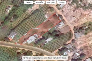 Chính chủ bán 2.534m đất 2 mặt tiền đường ĐT719, thôn văn kê, xã Tân Thành gần mũi Kê Gà