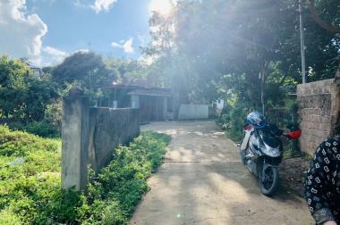 Cần bán gấp mảnh đất phù hợp làm homestay tại Mộc Châu 