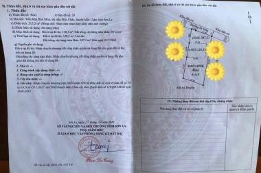 Cần bán gấp mảnh đất phù hợp làm homestay tại Mộc Châu 