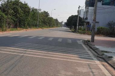 Đất mặt đường Nguyễn Đức Cảnh- khu Bãi Vượt, đường to, tiềm năng phát triển- 52 triệu/m2
