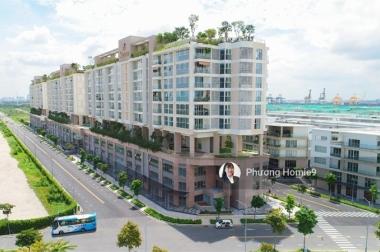 Shophouse Sarina với diện tích 232m2 49 triệu