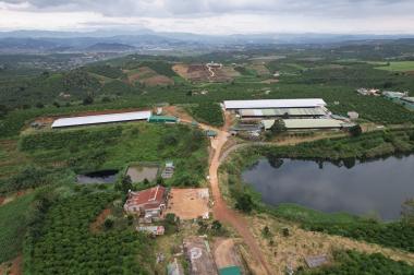 CẦN BÁN TRANG TRẠI 85000M , Vị Trí Xã Phúc Thọ, Huyện Lâm Hà