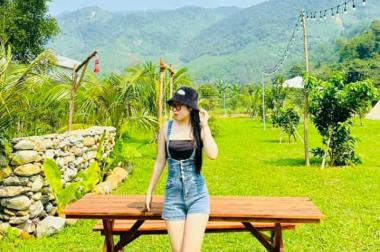 CẦN BÁN OMSTAY 2000M2 ( 1185M2 SỔ) CHỈ 2.6 TỶ ĐỒNG.