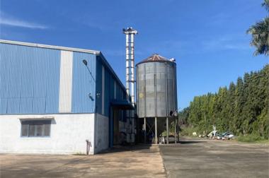 chuyển nhượng nhà máy hoạt động sản xuất lĩnh vực viên nén, tại KCN Đồng Nai