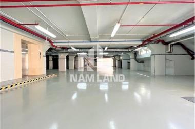 Lựa chọn hoàn hảo cho văn phòng và showroom.