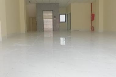 Cho thuê nhà mặt tiền số 61 đường Phổ Quang -Tân Bình mới xây dựng làm văn phòng và mặt bằng kinh