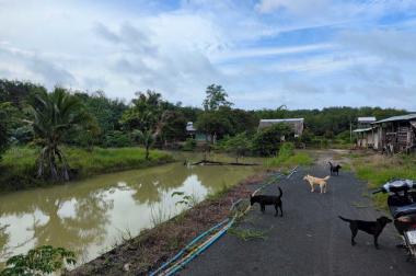 Chủ gửi bán gần 10 ha đất tại Lộc Ninh, Bình Phước - Giá đầu tư chỉ 4,5tỷ