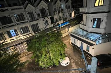 𝐁𝐈𝐄̣̂𝐓 𝐓𝐇𝐔̛̣ 𝐊𝐡𝐮 𝐃𝐚̂𝐧 𝐂𝐮̛ 𝐏𝐞𝐭𝐞𝐜𝐡𝐢𝐦 Huỳnh Tấn Phát -TT NHÀ BÈ,DT 80M