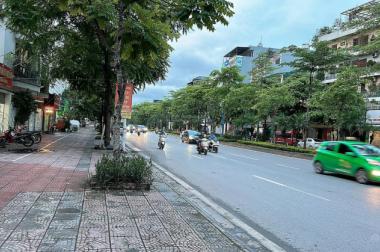 Mặt phố Cổ Linh kinh doanh vỉa hè ô tô tránh 195m2, mặt tiền 16m, 45 tỷ Long Biên