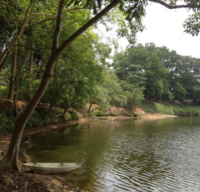 Bán 7 ha đất thổ cư + 3 ha hồ nước tại xóm Đồng Xương, Thành Lập, Lương Sơn, Hoà Bình