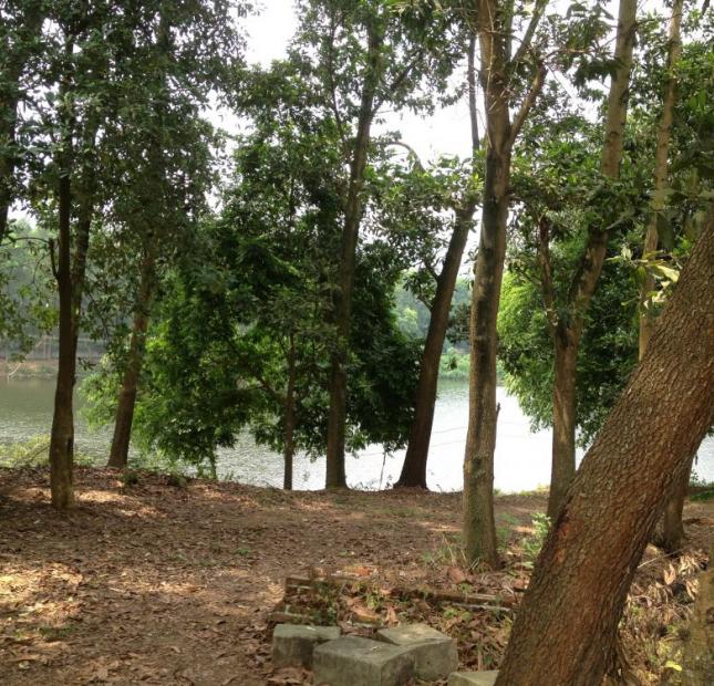 Bán 7 ha đất thổ cư + 3 ha hồ nước tại xóm Đồng Xương, Thành Lập, Lương Sơn, Hoà Bình