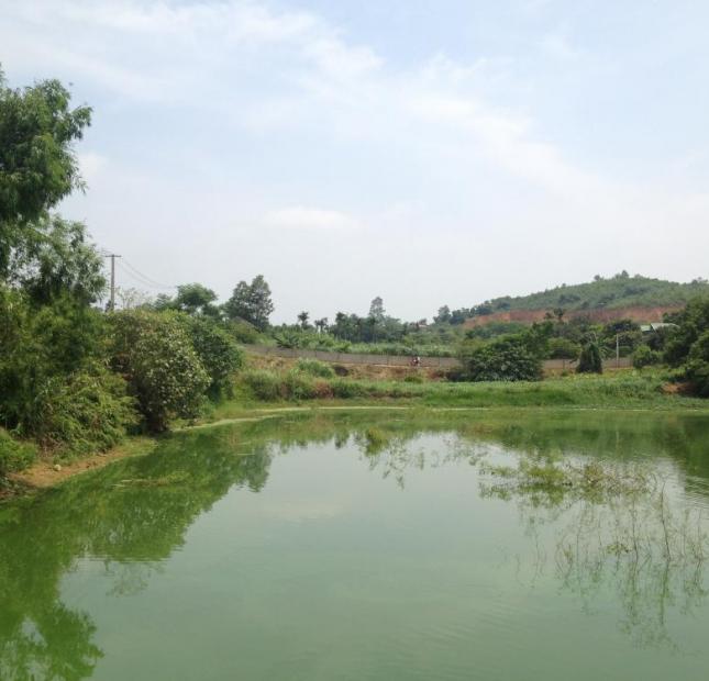 Bán trang trại, khu nghỉ dưỡng tại Xã Yên Bài, Ba Vì, Hà Nội, diện tích 25000m2 giá 320 nghìn/m²