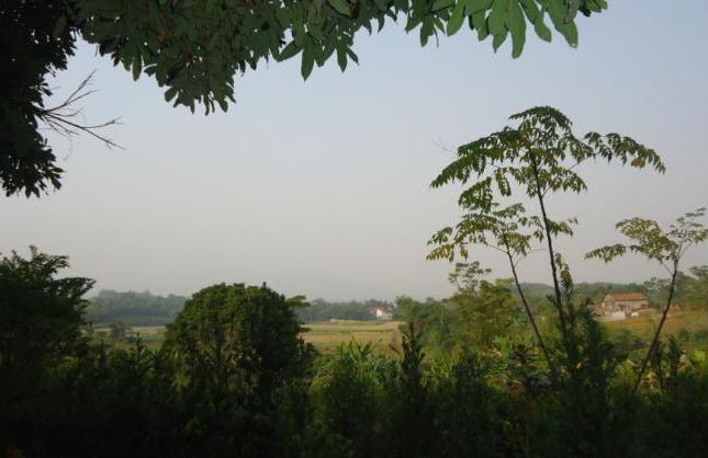 Bán trang trại nghỉ dưỡng diện tích 9000m2 tại xã Hợp Hòa, Lương Sơn, Hòa Bình, giá 300 nghìn/m2
