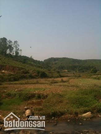 Bán 42 ha đất rừng 50 năm tại xã Trường Sơn, Lương Sơn, Hoà Bình
