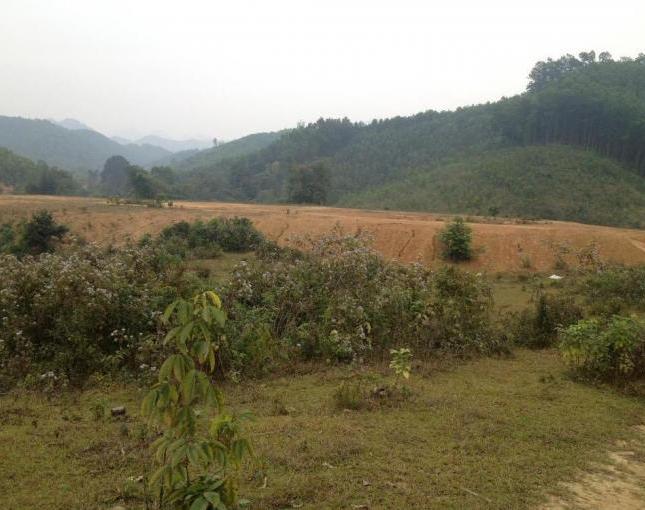 Bán 3,1 ha đất trang trại tại Khăm - Kim Bôi - Hòa Bình