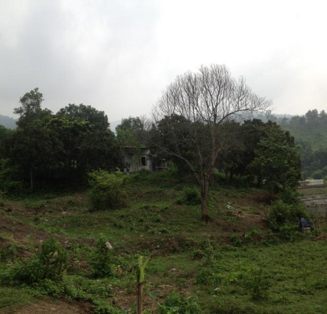 Bán đất tại Lương Sơn, Hòa Bình diện tích 1900m2 giá 700 triệu