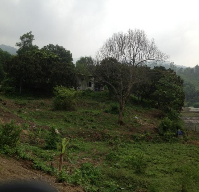 Bán đất tại Lương Sơn, Hòa Bình diện tích 1900m2 giá 700 triệu