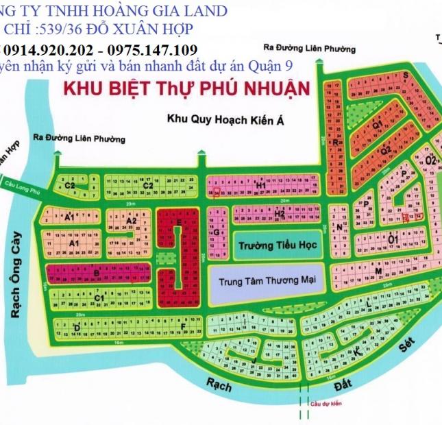 Bán đất dự án biệt thự Phú Nhuận, Quận 9, dự án sổ đỏ, trục đường 20m, liên hệ 0914920202