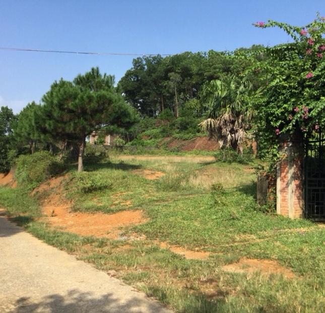 Bán trang trại 1,5 ha và 8 sào đất thổ cư tại Yên Bài, Ba Vì, Hà Nội