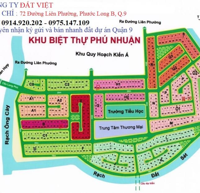 Bán đất dự án Phú Nhuận, Phước Long B, Quận 9, DT 336m2, lô đất góc 2MT, giá 66 tr/m2