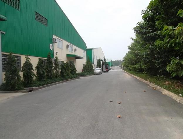 Cho thuê kho xưởng đường số 9, KCN Tân Tạo, DT: 1400m2, giá: 70 nghìn/m2
